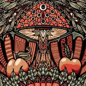 Tedeschi Trucks