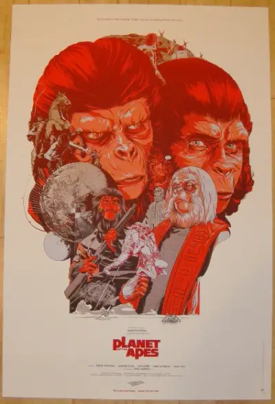 Martin Ansin