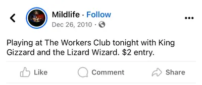 King Gizzard & the Lizard Wizard