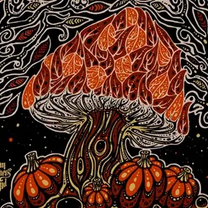 Tedeschi Trucks