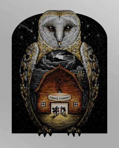 Barn Owl
