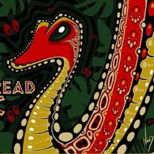 Widespread Panic