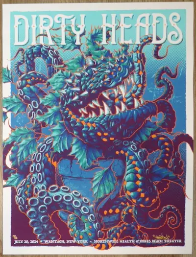 Dirty Heads