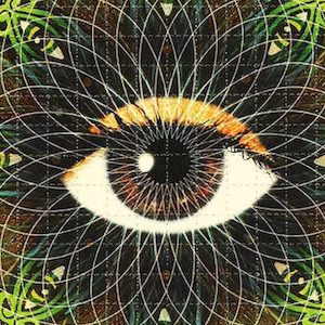 Jeff Wood