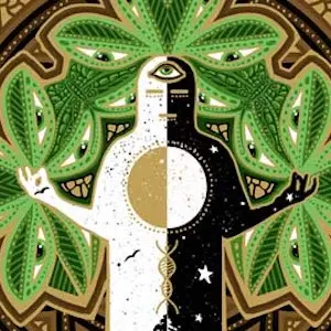 Symbiosis Festival